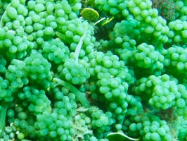 IMG 6402 - Version 2